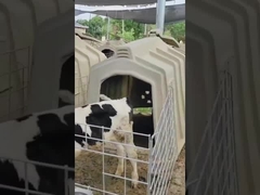 Εξοπλισμός γαλακτοκομικών εκμεταλλεύσεων Calf Hutch